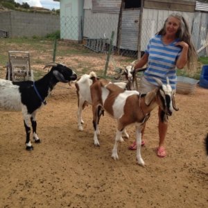 Nancy-and-goats-6-15-2015-300×300