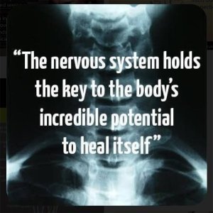 directory-gallery-center-of-health-05-300×300-1.jpg