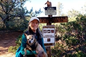 hikedog-300×200-1.jpg