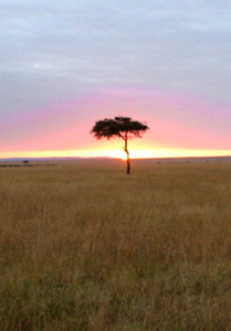 mara6-Sunrise-cropped