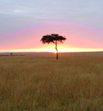 mara6-Sunrise-cropped