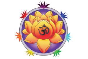 SV-Logo-Transparent-1